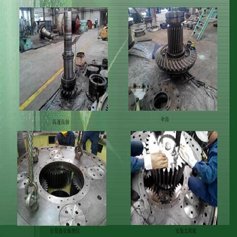 Henan Dadi Group 4