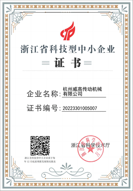 Weigao Province Primary School Certificate
