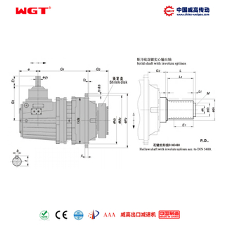 P2LD22 (i:31.5-100) P series planetary primary bevel gear orthogonal shaft involute spline solid shaft
