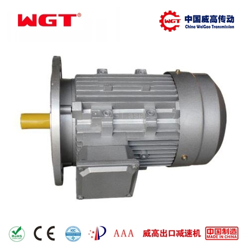 YE2 three-phase AC motor gearbox motor