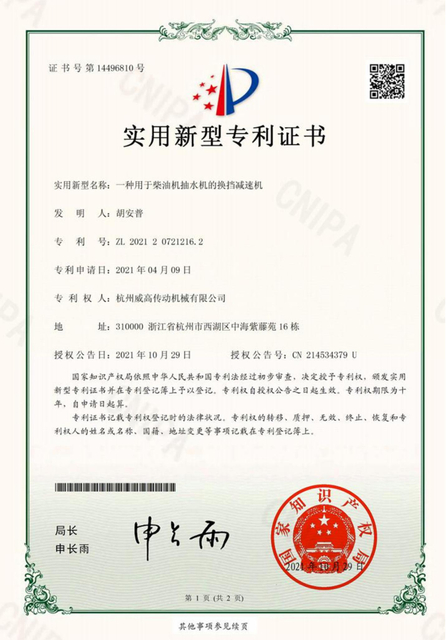 Weigao 8 patents WEB_01
