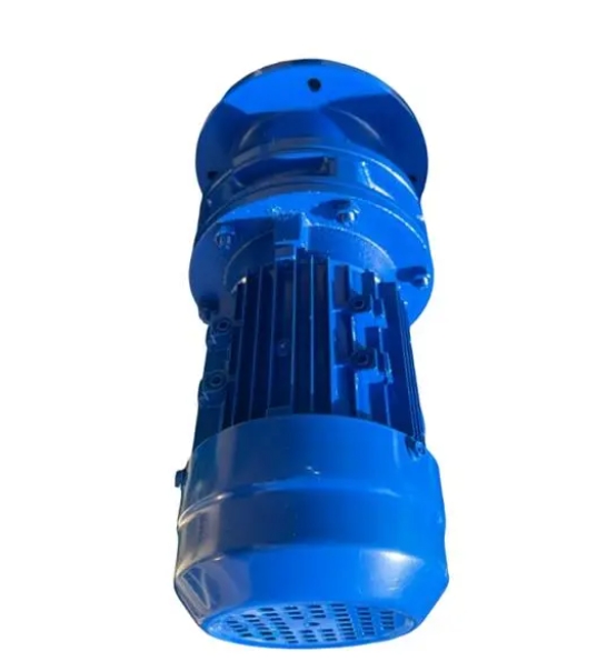 Vertical two-stage cycloidal pinwheel reducer model BLED120/BLEY20-0.75KW speed ratio 187/253