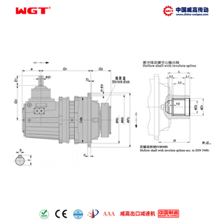 P2LC13 (i:31.5-100) P series planetary primary bevel gear orthogonal shaft Zhejiang open line spline hollow shaft