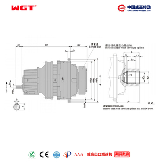 P3SC31 (i:280-900) P series planetary primary helical gear parallel shaft involute spline hollow shaft