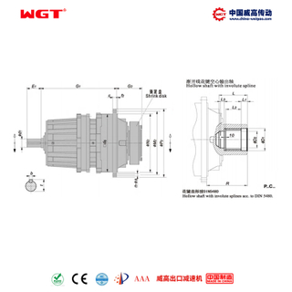 P2NC14 (i:25-40) P series planetary standard coaxial involute spline hollow shaft output shaft