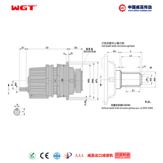 P2SD17 (i:45-125) P series planetary primary helical gear parallel shaft involute spline solid shaft