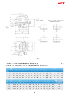CWS100 CWSarc-contract worm reducer